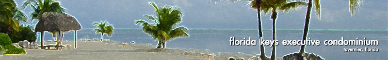 Florida Keys Executive Condominium