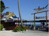 Raw Bar