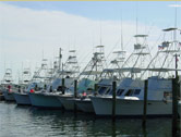 Sportfishing